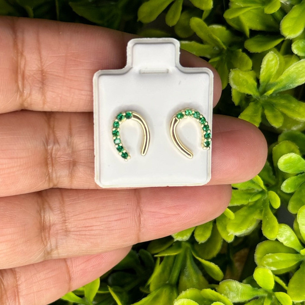 Little horse shoe earrings